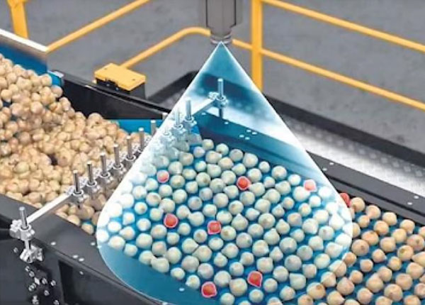 An AI for detail